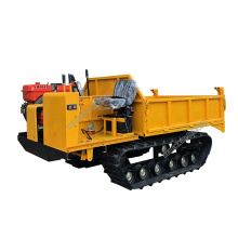 Mini rc crawler dump truck/tracked vehicle